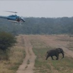 Elephant Herding using Helicopter
