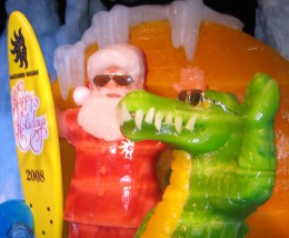 ice-surfsanta