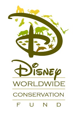 dwcf_logo dwcf_logo