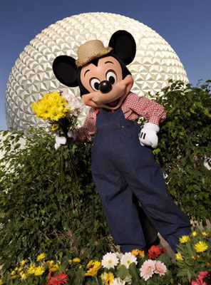 fandg-mickey2009-400h fandg-mickey2009-400h