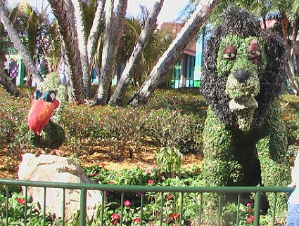 epcot-fg-top1