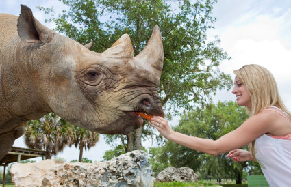 Vienna-Rhino-Busch-Gardens