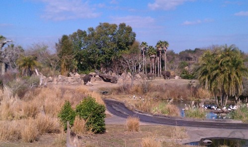 Boma Platform View-med