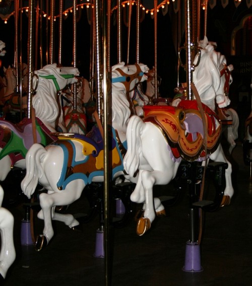 horsey1