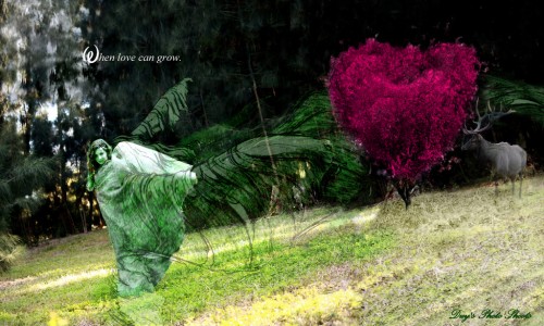 whenlovecangrow-duy