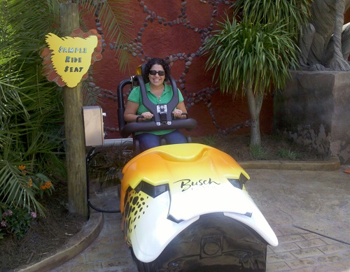 cheetahrun-seat