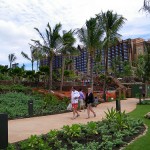 coconutwireless-flickr-aulani3