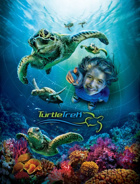 TURTLE-2