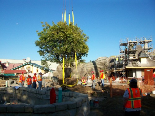 fantasyland-tree-disney
