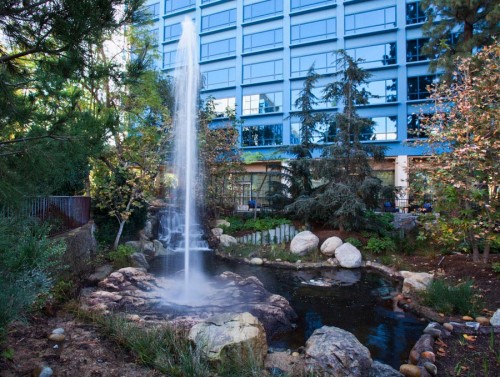 Disneyland-Hotel-Waterfeature
