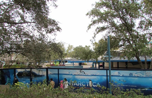 seaworld-antartica-wall-05