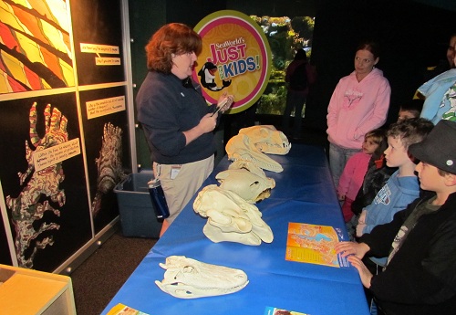 seaworld-justforkids-table02