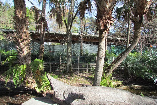 seaworld-turtletrek-wall-02