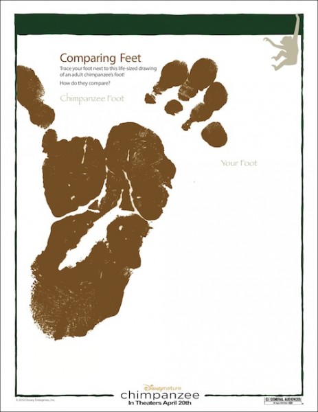 chimp-feet