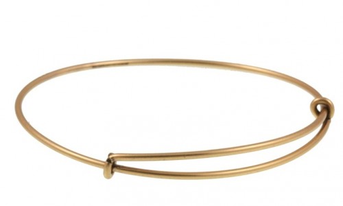 alex-ani-3-500x300.jpg