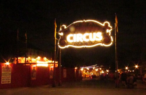 01-mk-storybook-circus-marquee-2 Magic Kingdom Storybook Circus Update - Marquee at night