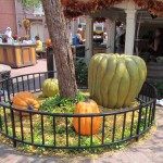 02-mk-halloween-liberty-square-2