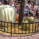 02-mk-halloween-liberty-square-3