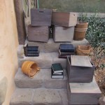 Books in Belle's Village