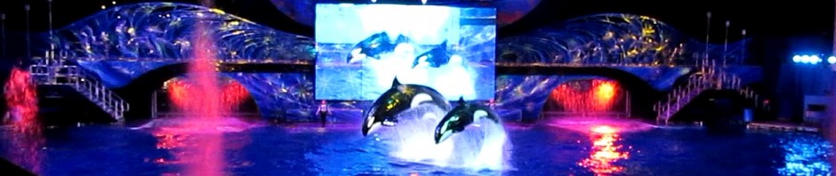 SeaWorld Orlando Christmas