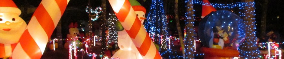 00-fort-xmas-7