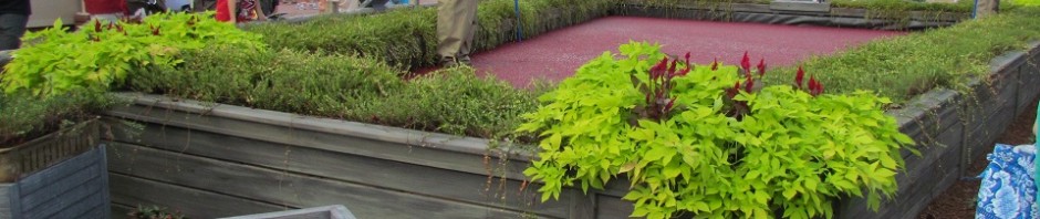 epcot-food-wine-cranberry-bog-2012