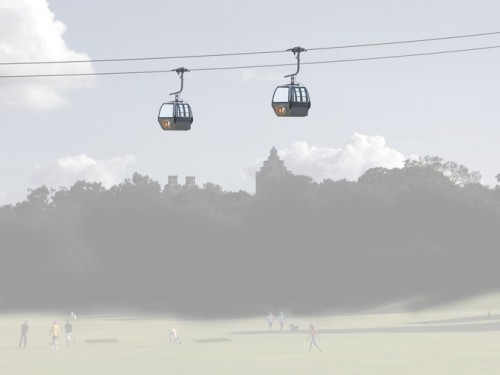wire-gondola-frog