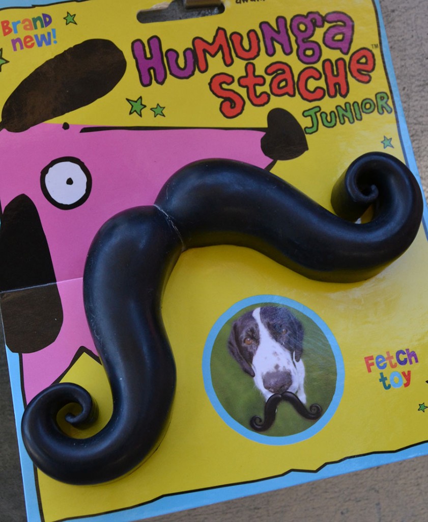 disney world dog toys