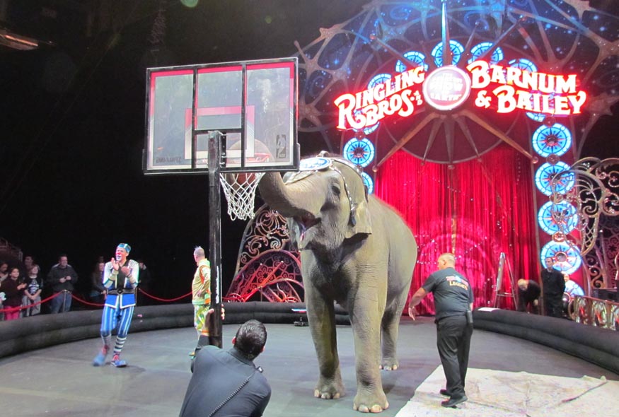 Legendary Circus performance as Ringling Bros. continues its rich ...