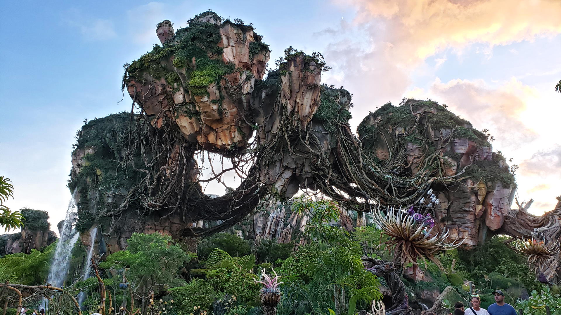 The Disney Blog