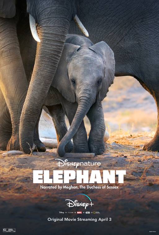 disneynaturedisneypluselephantposter The Disney Blog