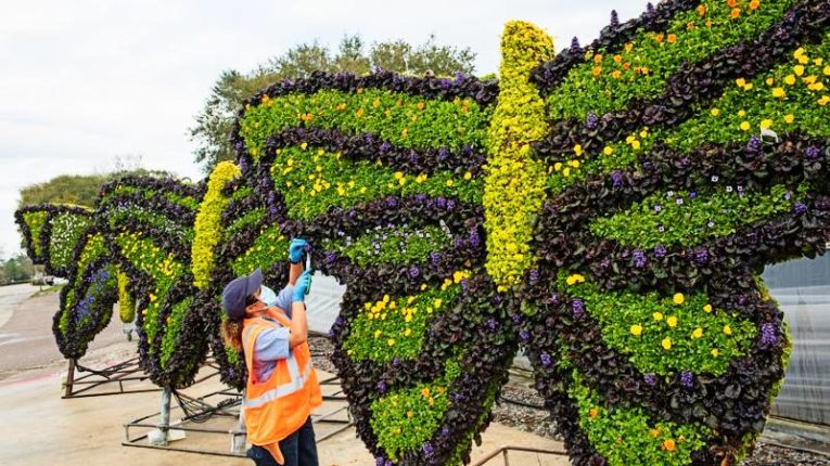 2022 EPCOT International Flower & Garden Festival - butterfly topiary