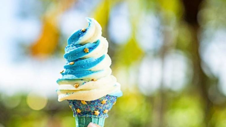 Disney’s Typhoon Lagoon Water Park - EARidescent Ice cream cone